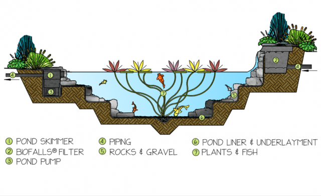 graphic drawing of a pond system