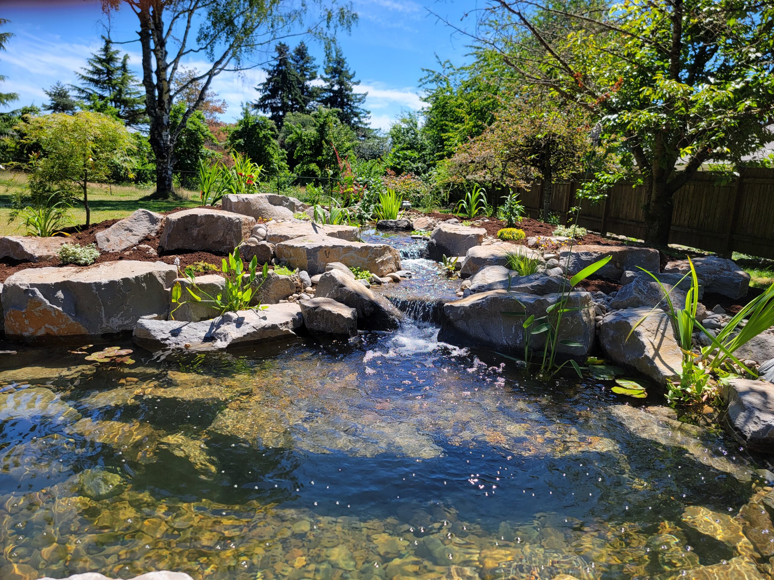4 Things to Know When Building a Pond (Before You Hire A Pond Contractor)